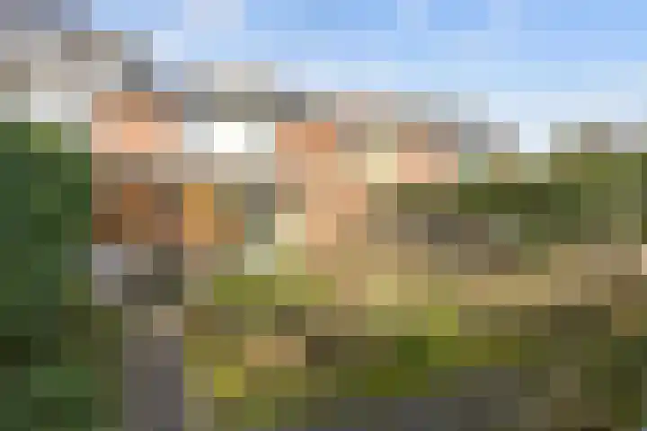 Leeuwerikweg 15 Paterswolde thumbnail 44