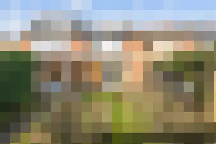 Leeuwerikweg 15 Paterswolde thumbnail 45