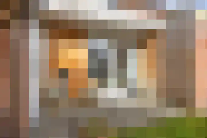Leeuwerikweg 15 Paterswolde thumbnail 47