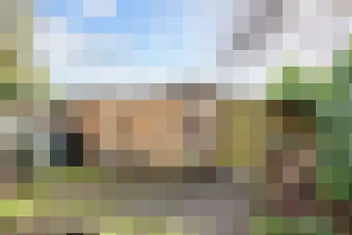 Leeuwerikweg 15 Paterswolde thumbnail 48