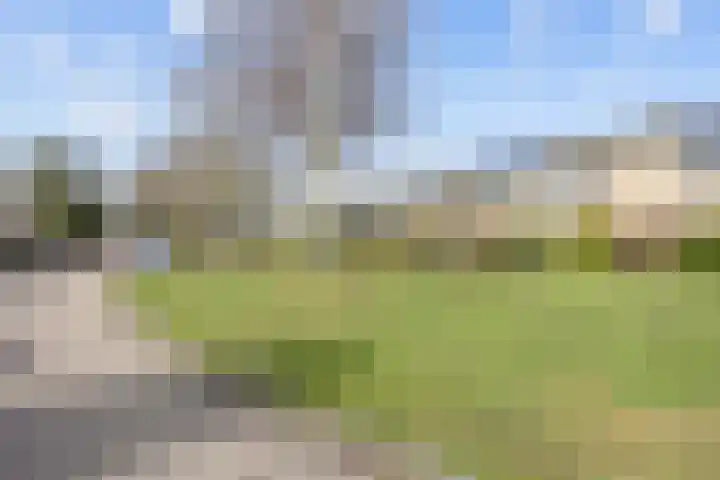 Leeuwerikweg 15 Paterswolde thumbnail 52