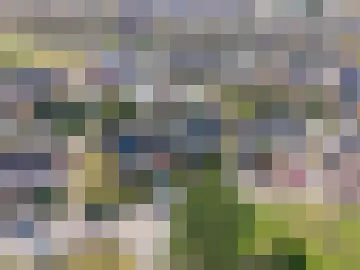 Leeuwerikweg 15 Paterswolde thumbnail 53