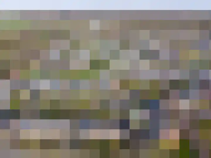 Leeuwerikweg 15 Paterswolde thumbnail 56