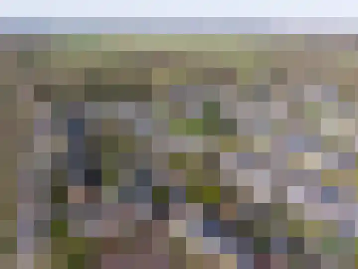 Leeuwerikweg 15 Paterswolde thumbnail 57