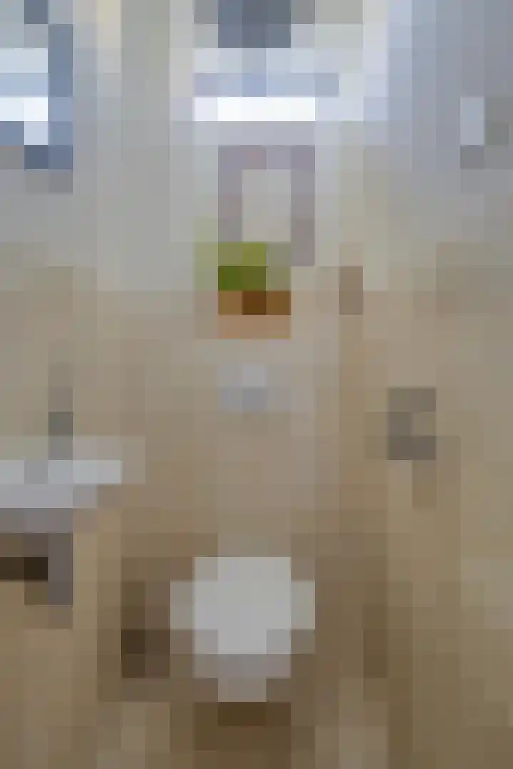 Leeuwerikweg 19 Paterswolde thumbnail 10