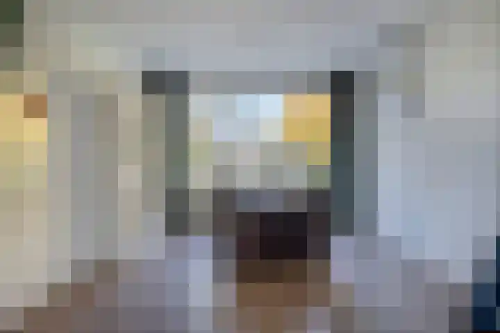 Leeuwerikweg 19 Paterswolde thumbnail 11