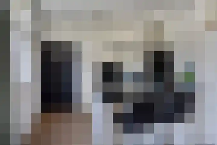 Leeuwerikweg 19 Paterswolde thumbnail 18