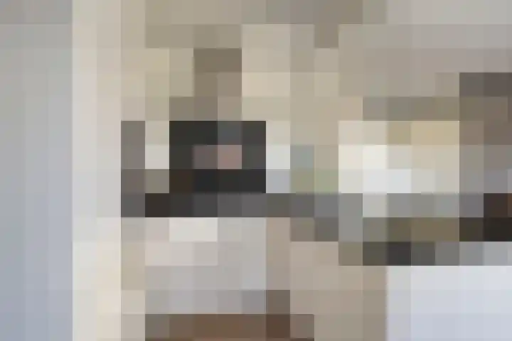 Leeuwerikweg 19 Paterswolde thumbnail 20