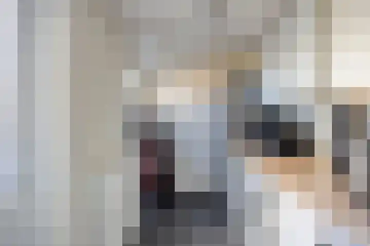Leeuwerikweg 19 Paterswolde thumbnail 22