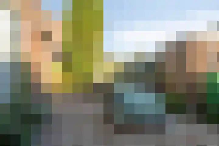 Leeuwerikweg 19 Paterswolde thumbnail 35
