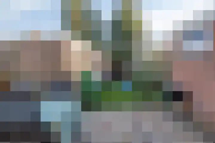 Leeuwerikweg 19 Paterswolde thumbnail 36