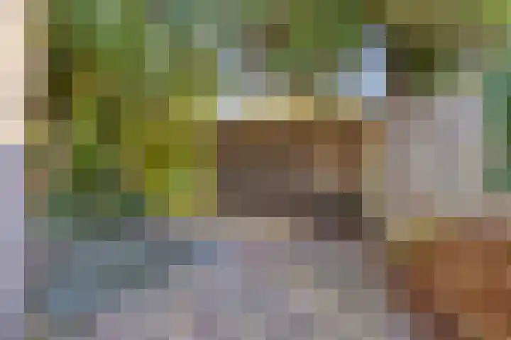 Leeuwerikweg 19 Paterswolde thumbnail 37