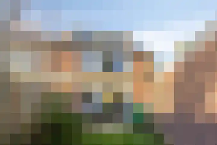 Leeuwerikweg 19 Paterswolde thumbnail 39