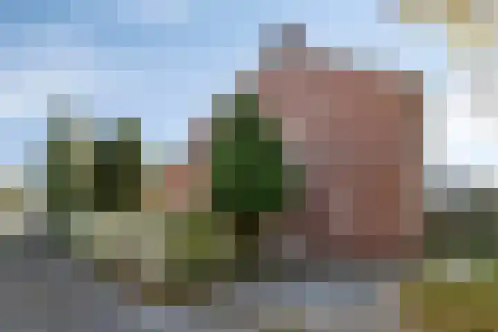 Leeuwerikweg 19 Paterswolde thumbnail 41