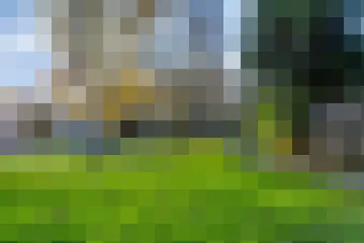 Leeuwerikweg 19 Paterswolde thumbnail 42