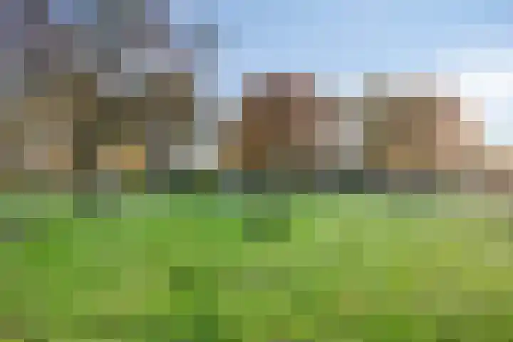 Leeuwerikweg 19 Paterswolde thumbnail 43