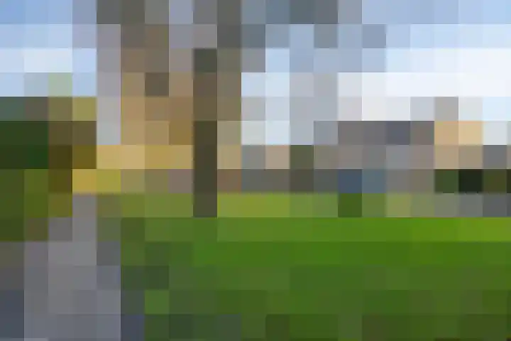 Leeuwerikweg 19 Paterswolde thumbnail 44