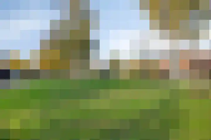 Leeuwerikweg 19 Paterswolde thumbnail 45
