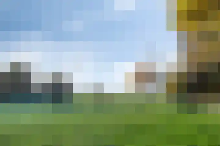 Leeuwerikweg 19 Paterswolde thumbnail 46