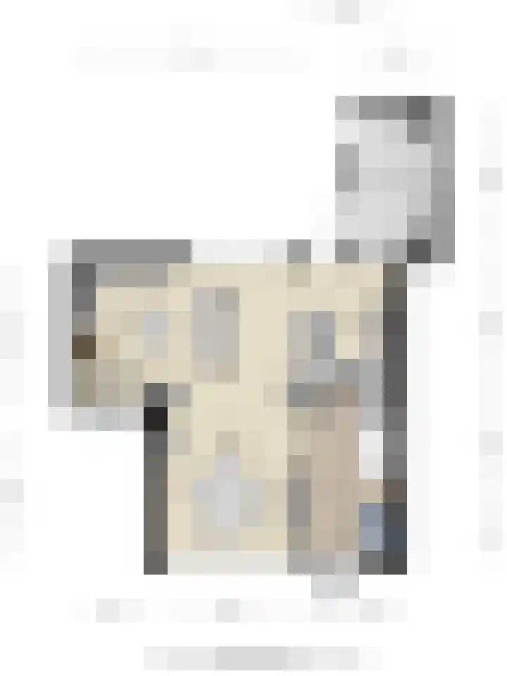 Leeuwerikweg 19 Paterswolde thumbnail 48