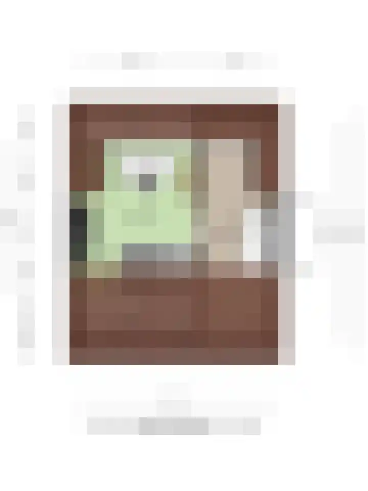 Leeuwerikweg 19 Paterswolde thumbnail 50