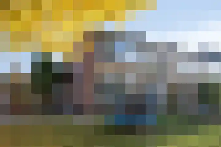 Leeuwerikweg 19 Paterswolde thumbnail 7