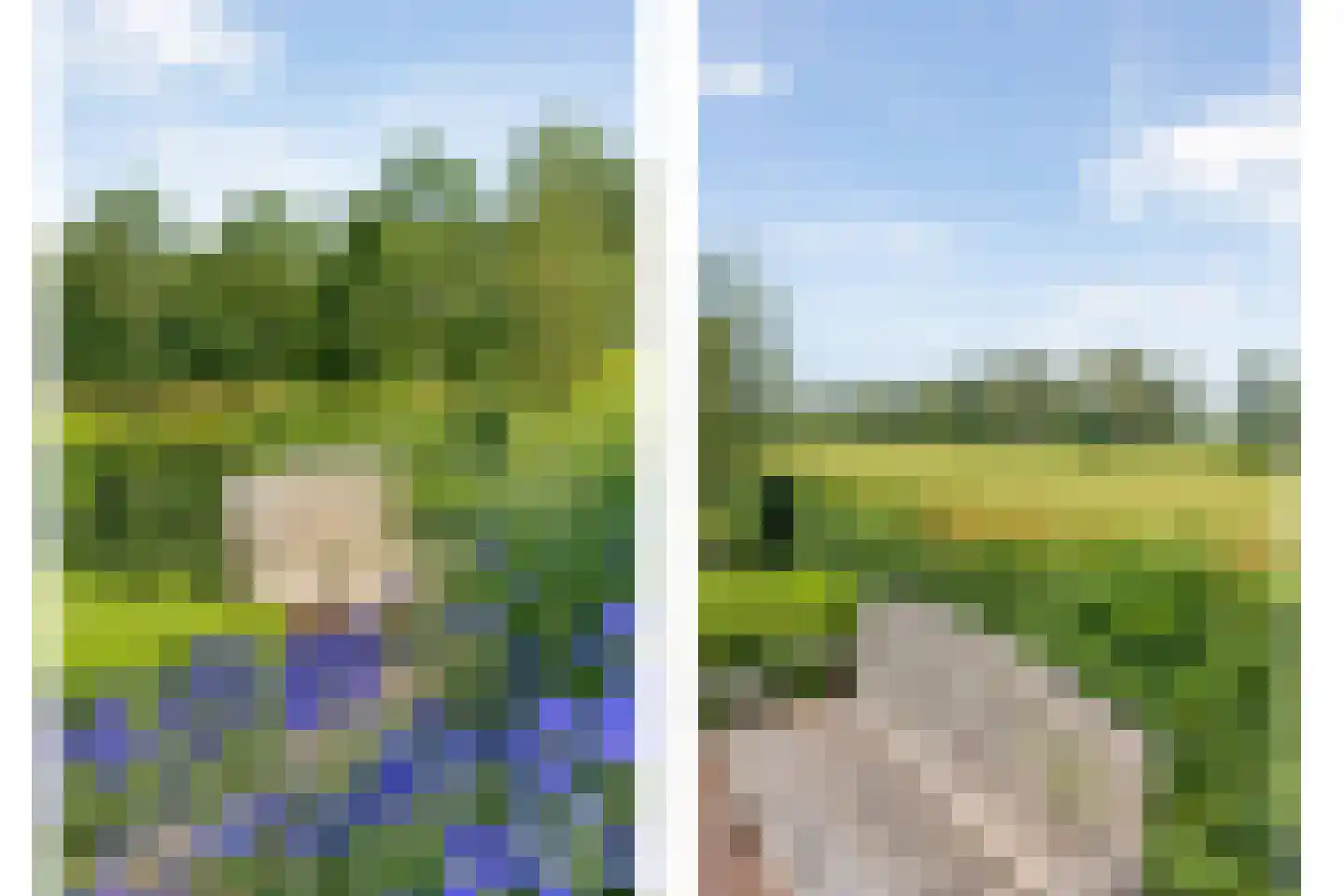 Leeuwerikweg 38 Havelte thumbnail 52