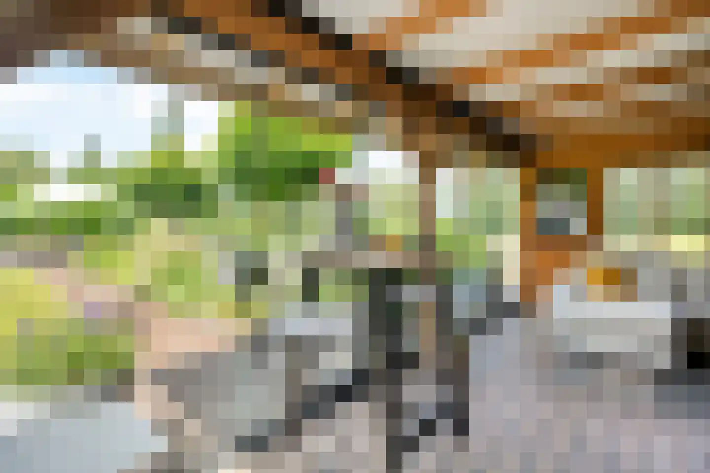Leeuwerikweg 38 Havelte thumbnail 57