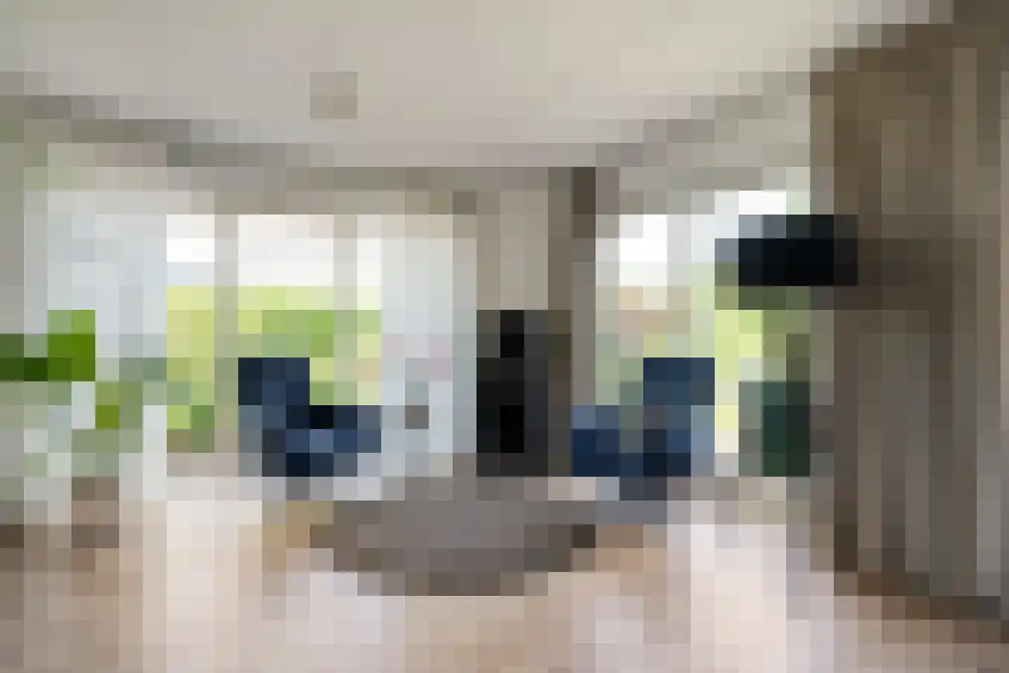 Leeuwerikweg 38 Havelte thumbnail 8