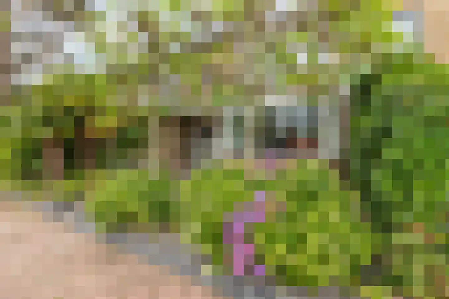 Leeuwerikweg 6 Soest thumbnail 5
