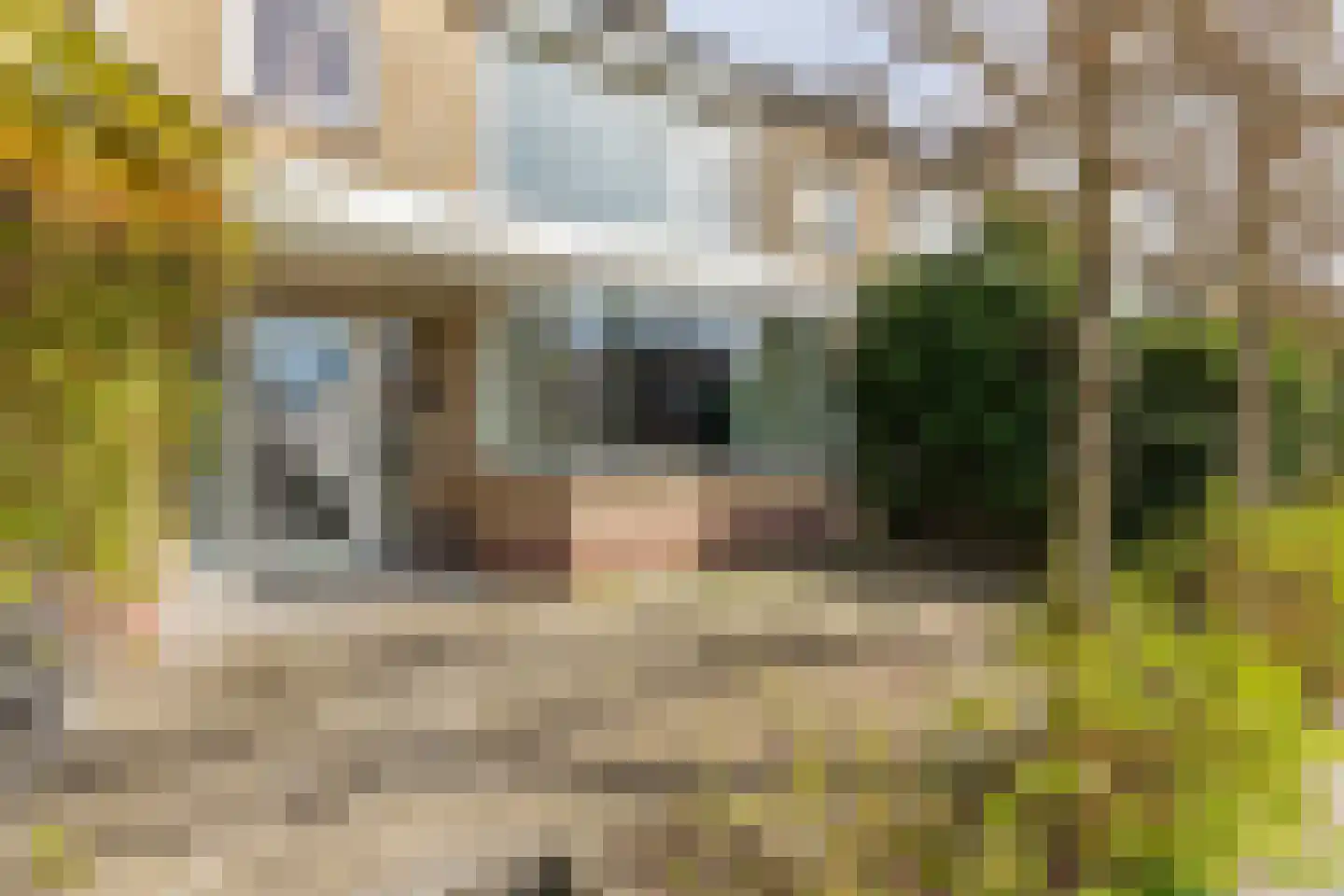 Leeuwerikweg 6 Soest thumbnail 5