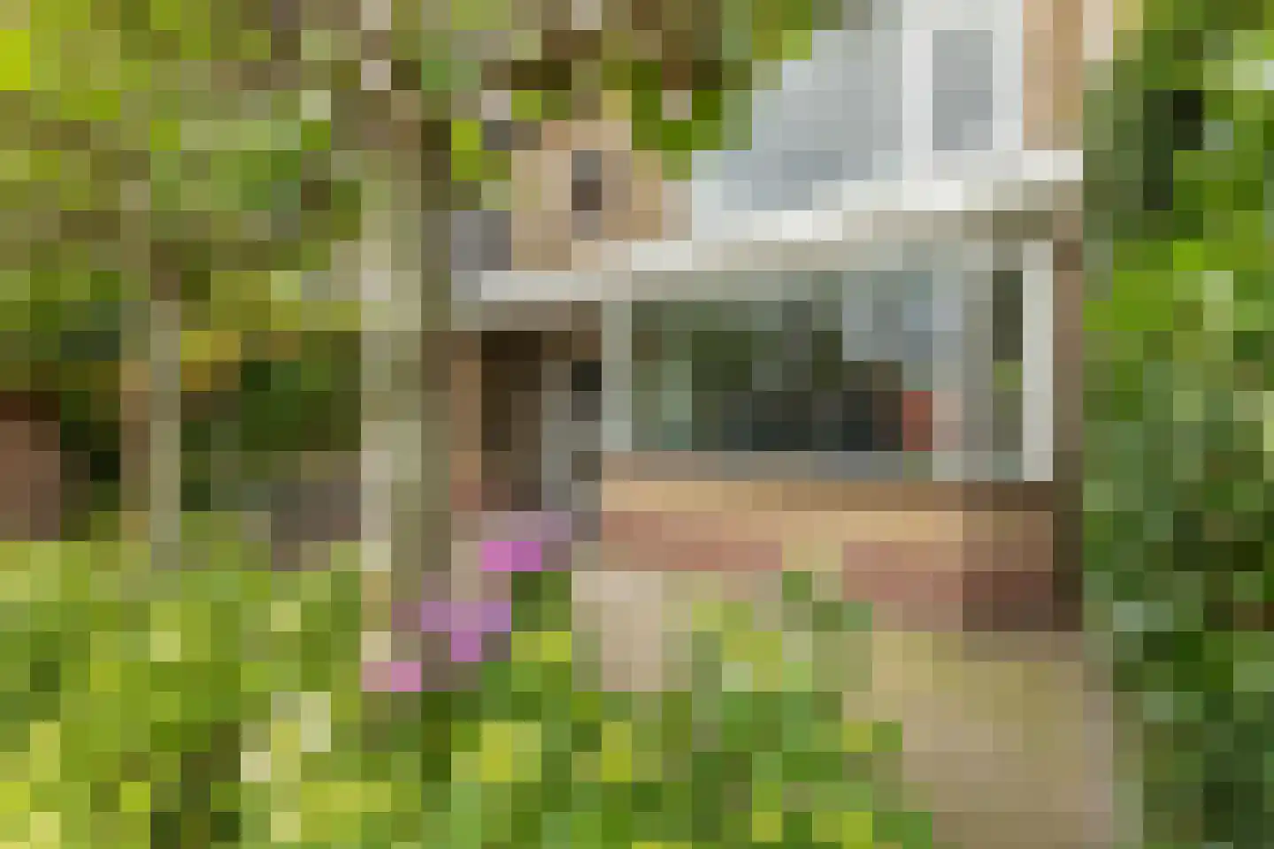Leeuwerikweg 6 Soest thumbnail 7