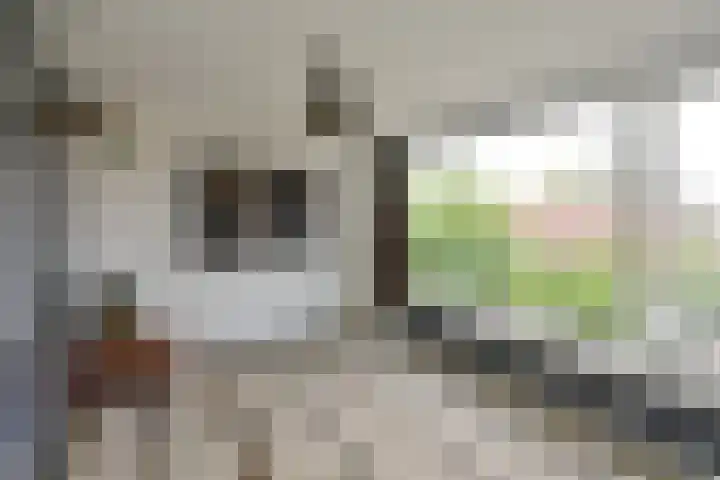 Leeuwerikweg 8 Soest thumbnail 11