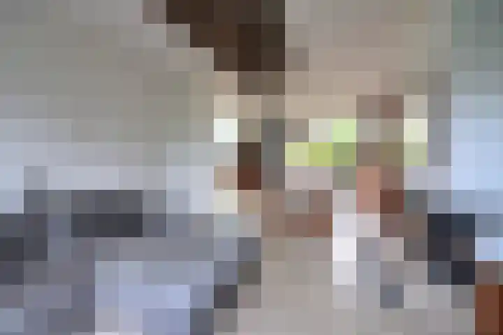 Leeuwerikweg 8 Soest thumbnail 6