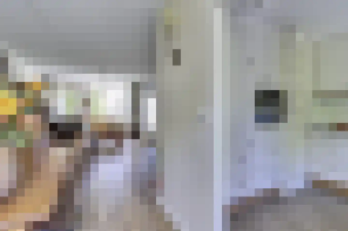 Leeuwerikweide 2 Houten thumbnail 14