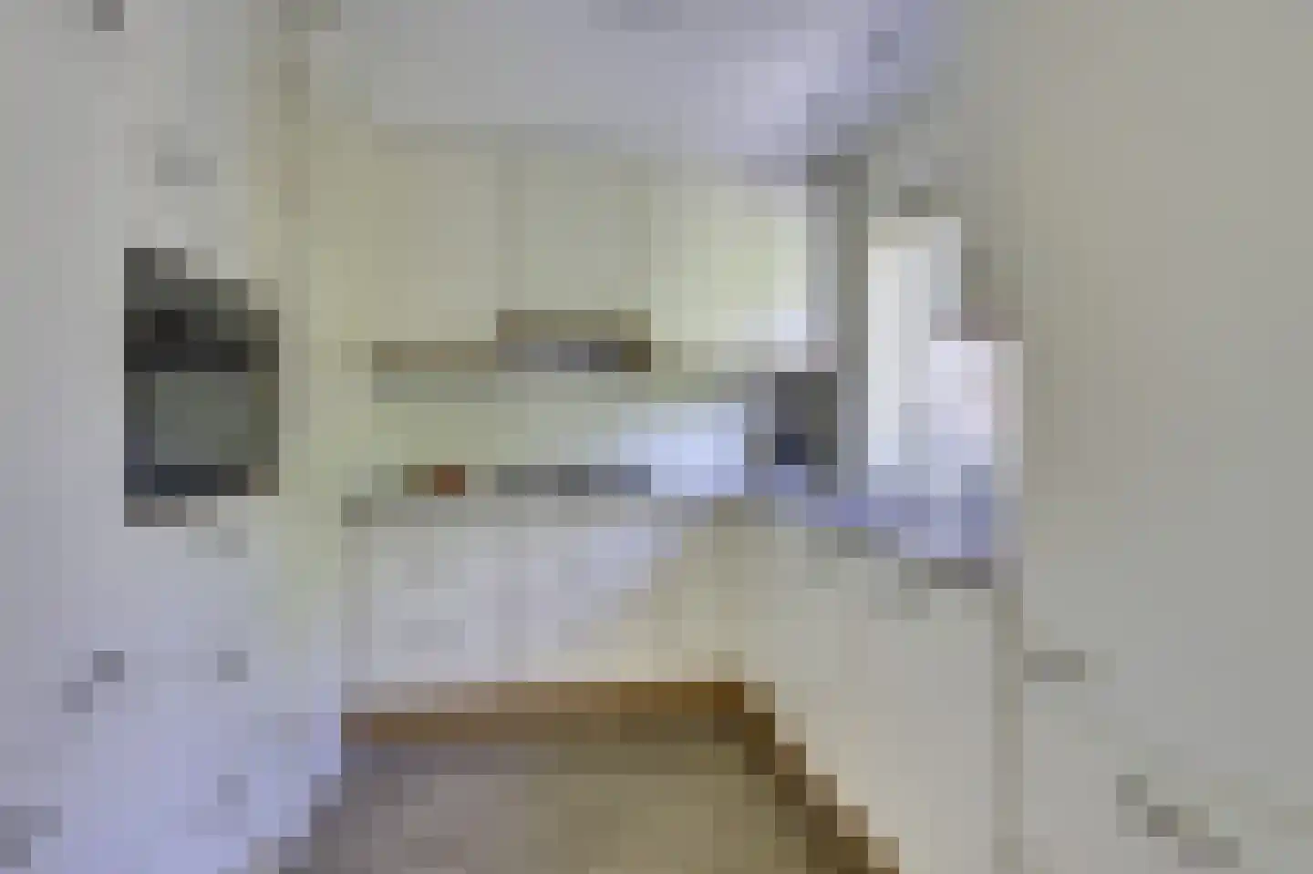 Leeuwerikweide 2 Houten thumbnail 15