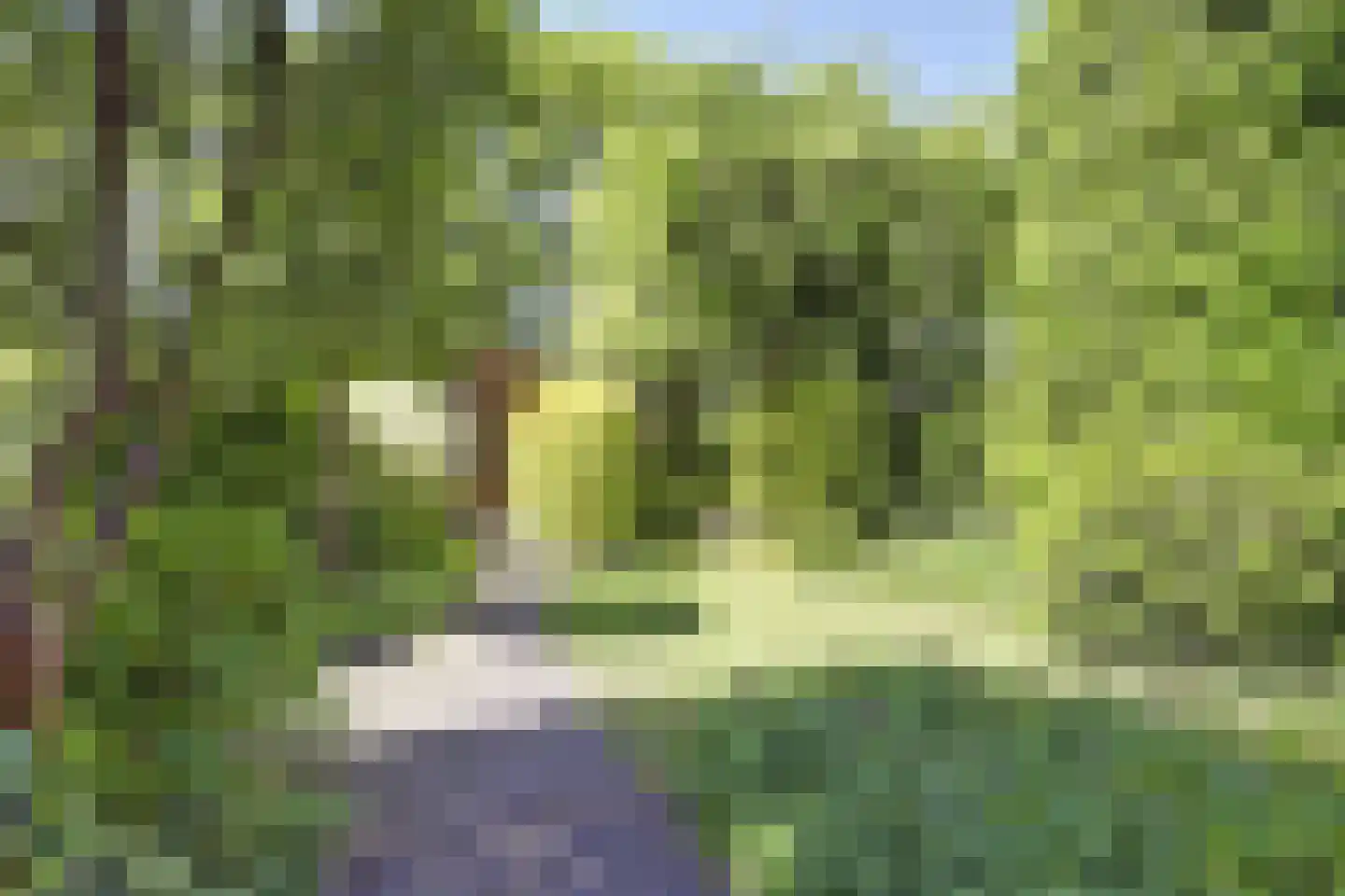 Leeuwerikweide 2 Houten thumbnail 22