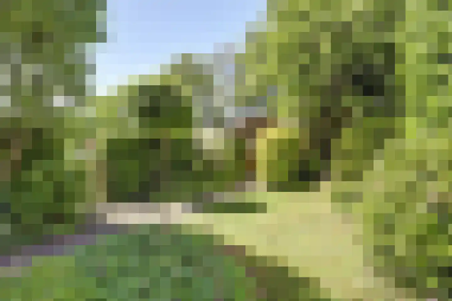 Leeuwerikweide 2 Houten thumbnail 23