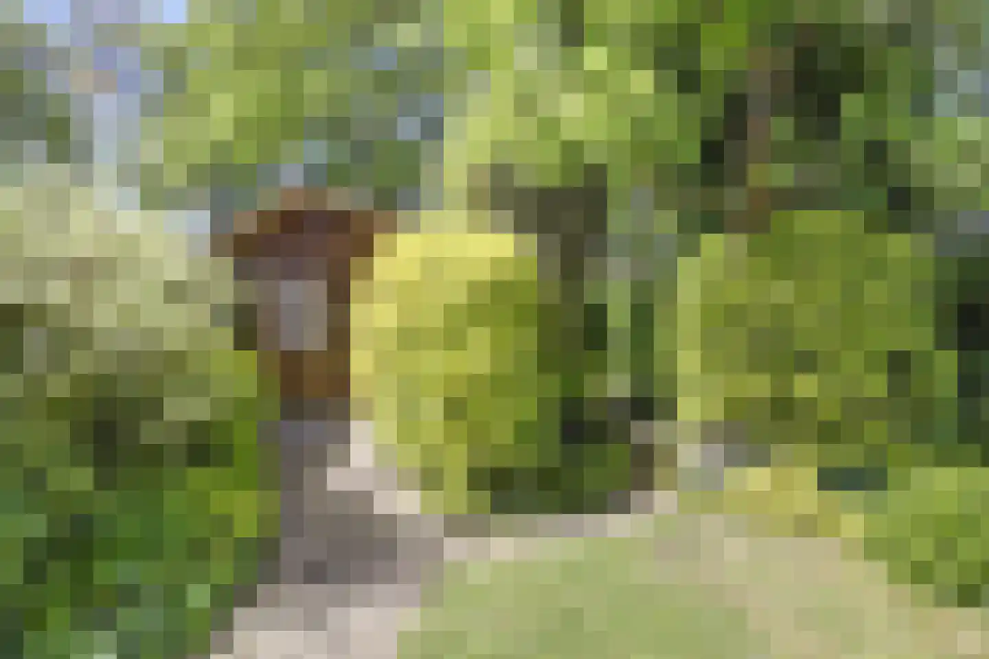 Leeuwerikweide 2 Houten thumbnail 24