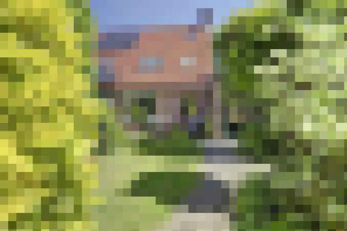 Leeuwerikweide 2 Houten thumbnail 25