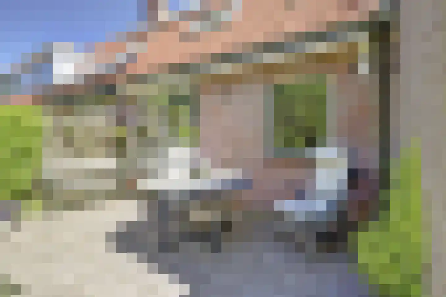 Leeuwerikweide 2 Houten thumbnail 28