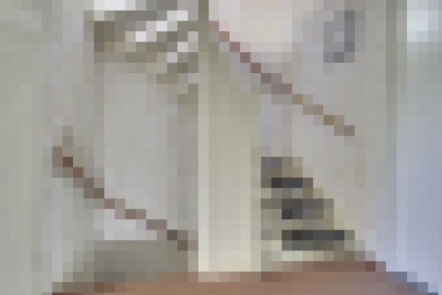 Leeuwerikweide 2 Houten thumbnail 29