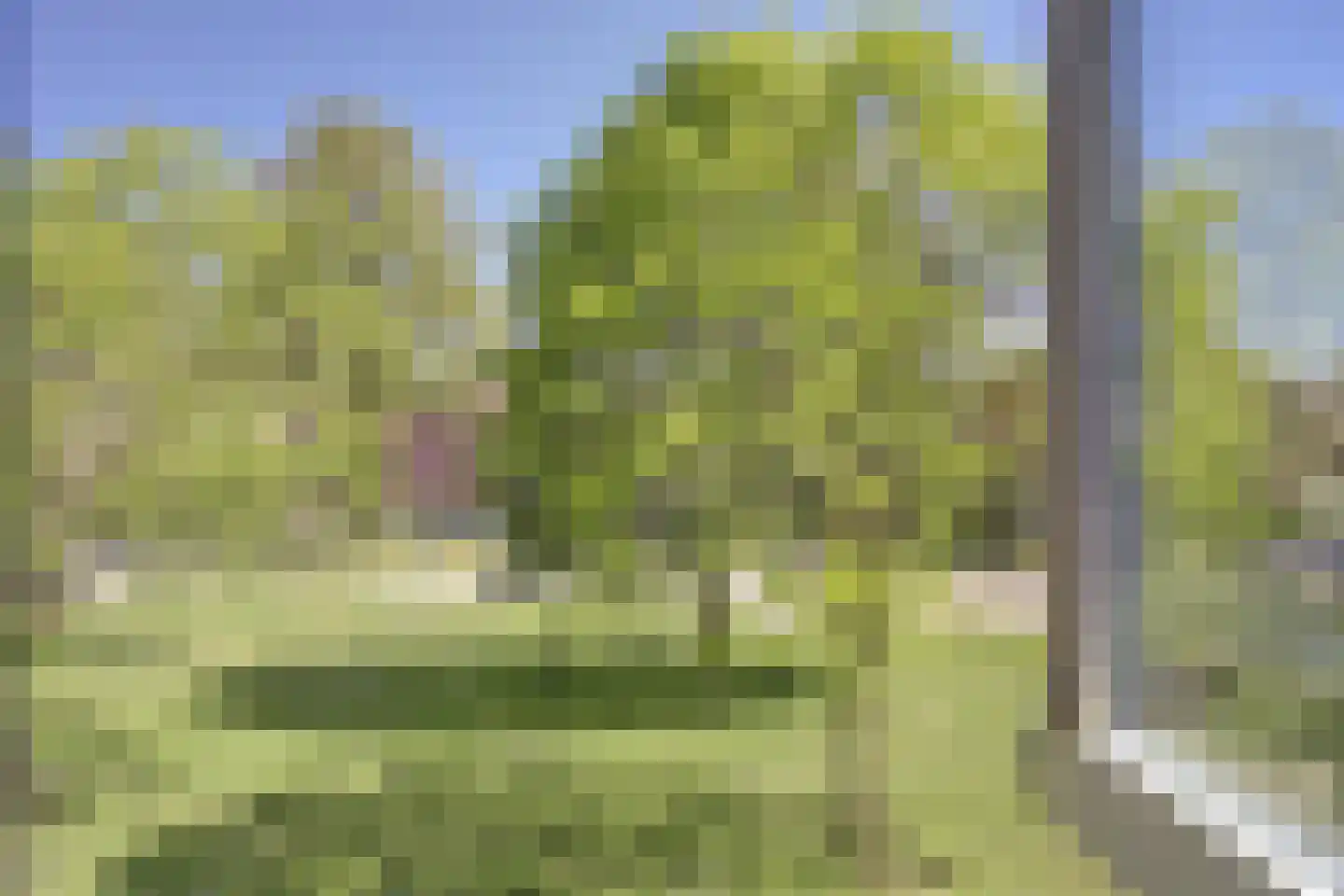 Leeuwerikweide 2 Houten thumbnail 31