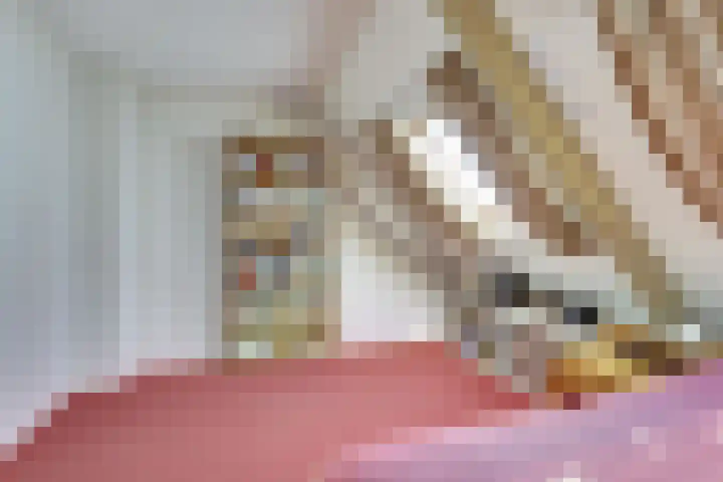 Leeuwerikweide 2 Houten thumbnail 35