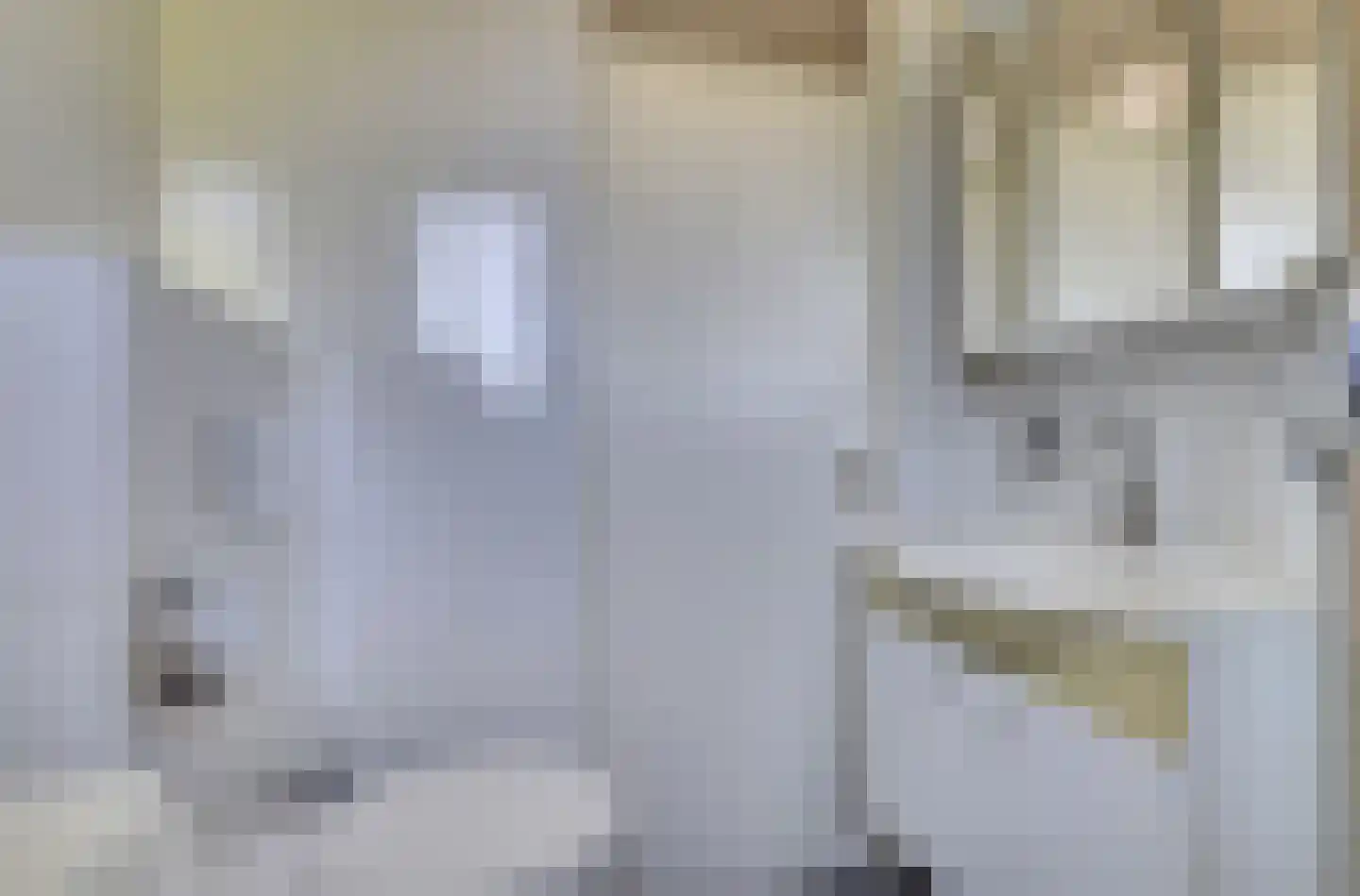 Leeuwerikweide 2 Houten thumbnail 37