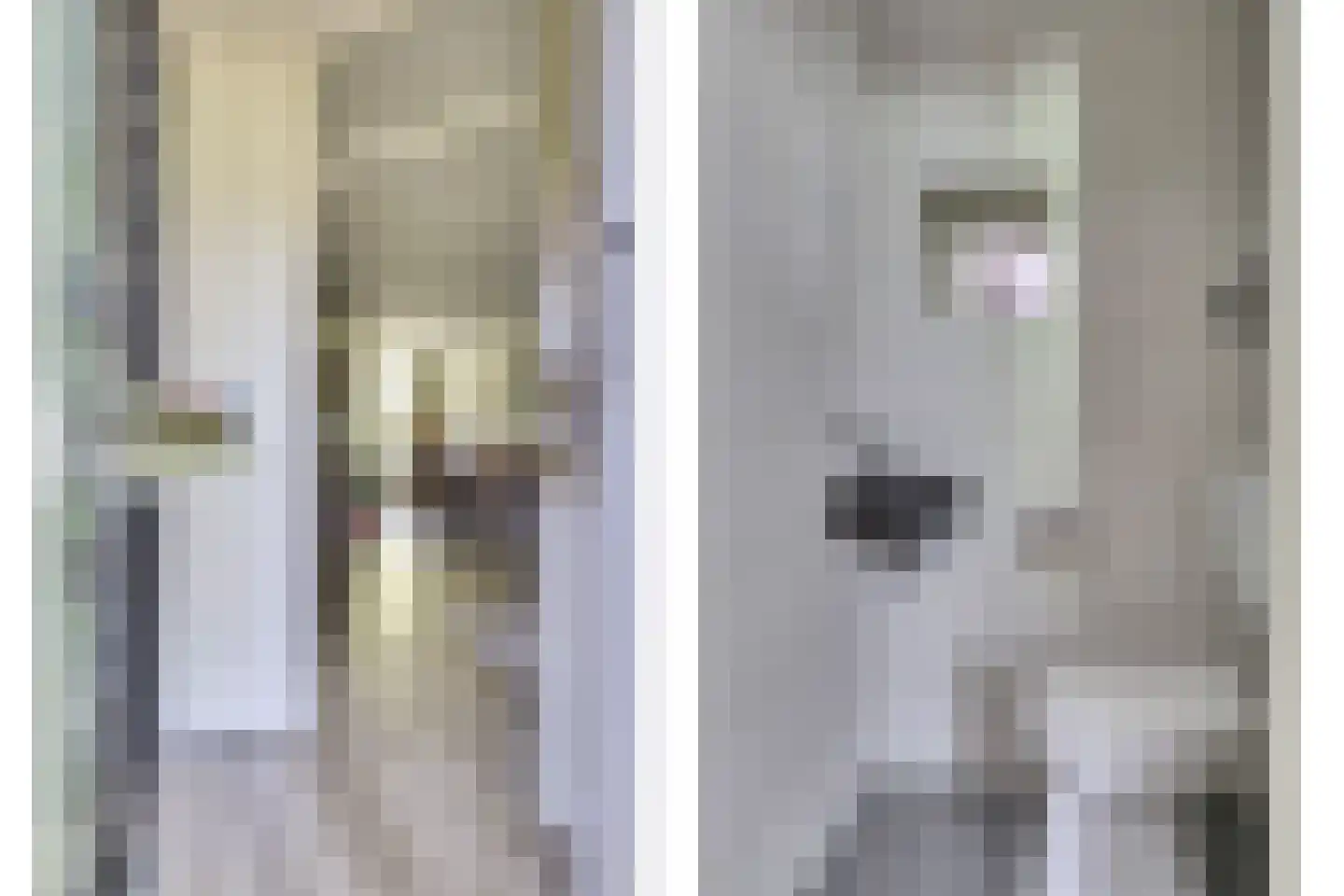 Leeuwerikweide 2 Houten thumbnail 42