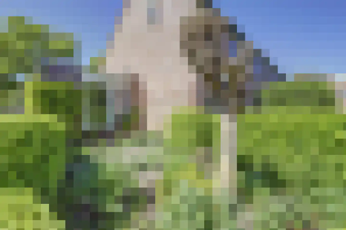 Leeuwerikweide 2 Houten thumbnail 45