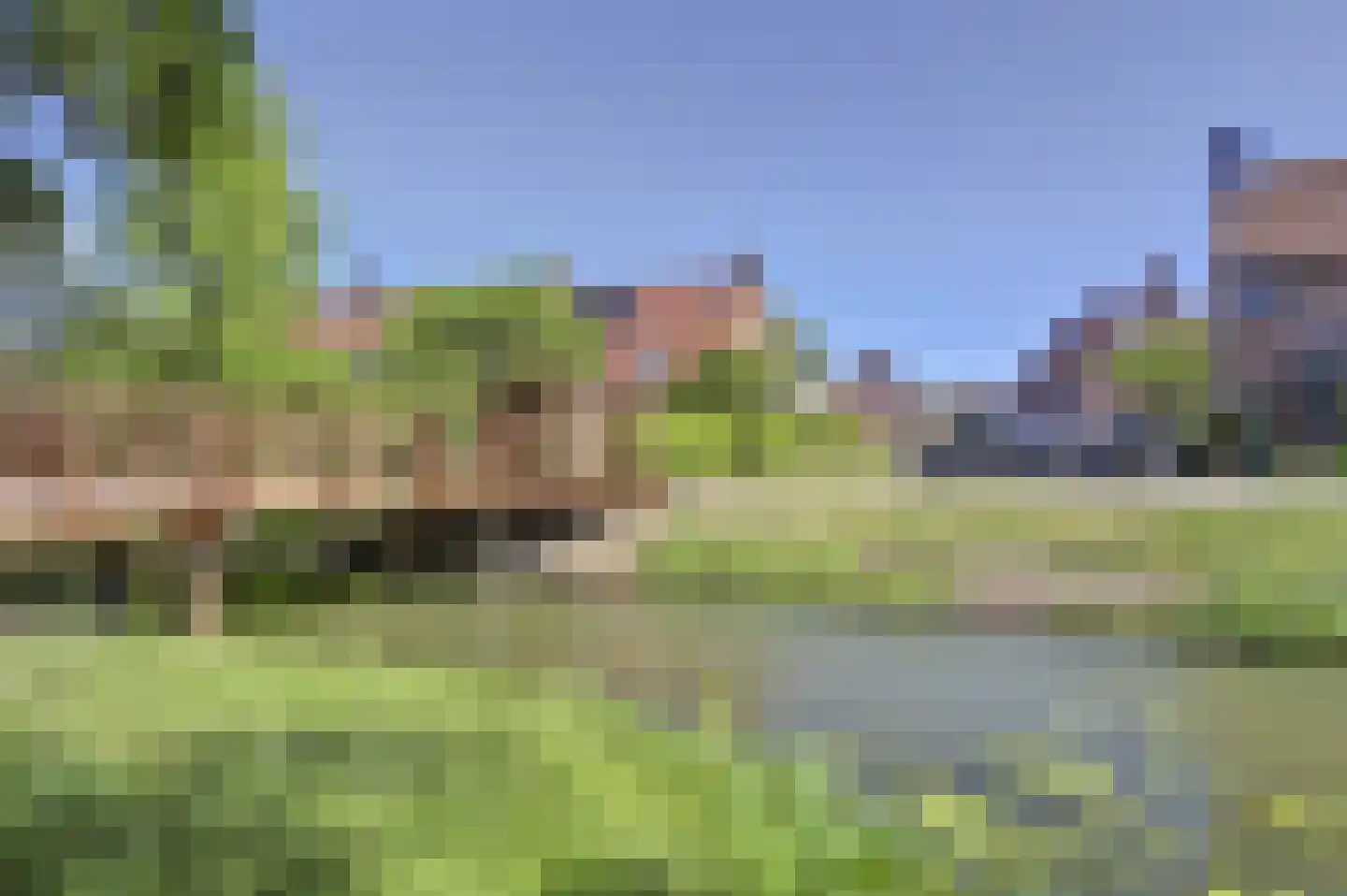Leeuwerikweide 2 Houten thumbnail 49