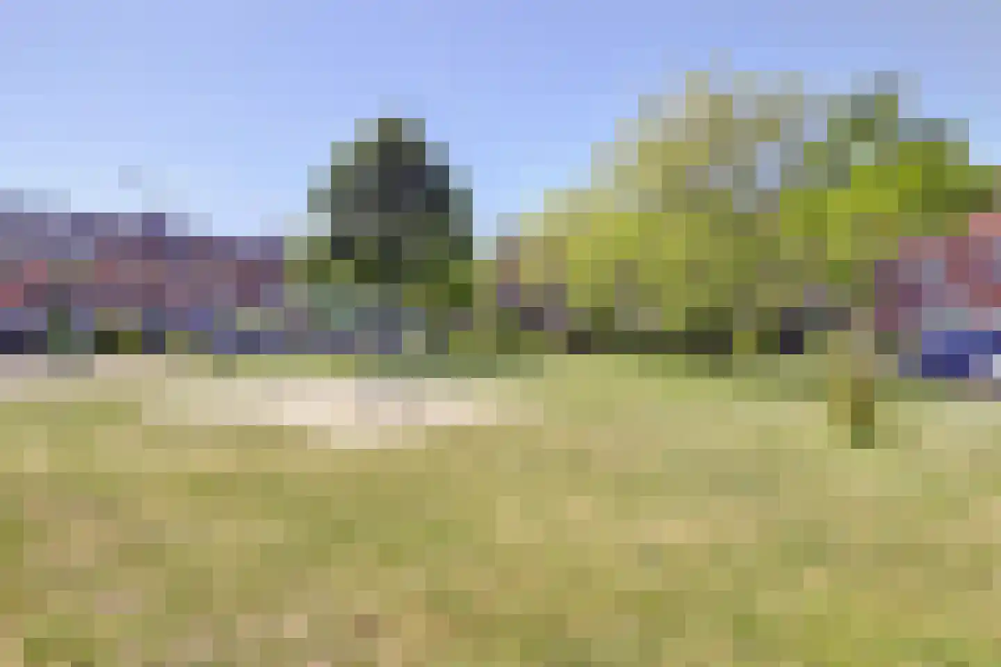Leeuwerikweide 2 Houten thumbnail 50