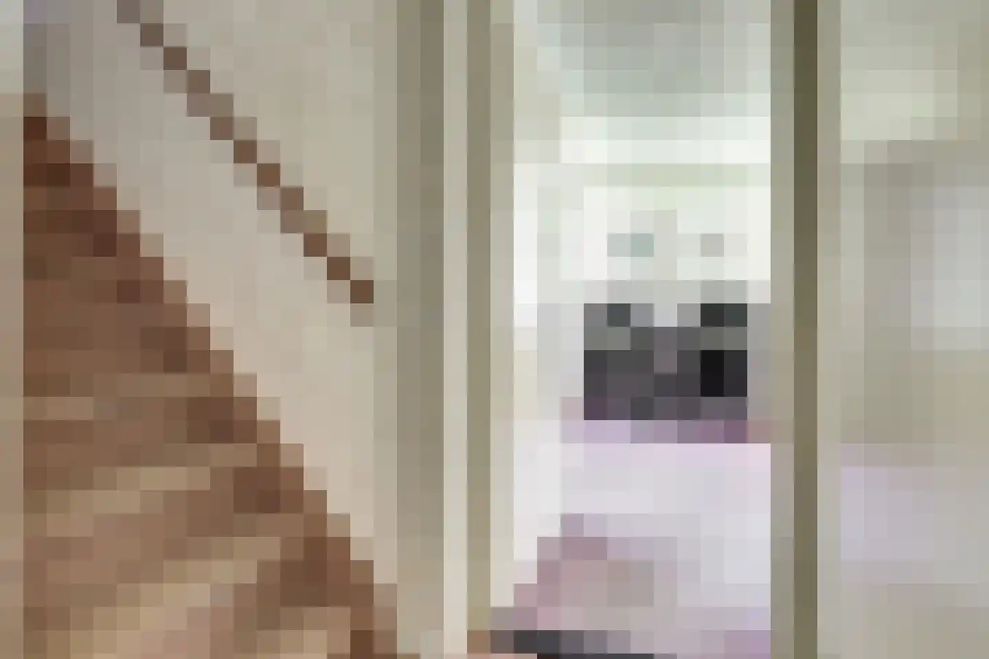 Leeuwerikweide 2 Houten thumbnail 8